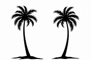 Coconut Tree Silhouette Pack, an Illustration by hafijul (Thumbnail 5 of 9)