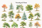 Woodland Atelier Clipart Bundle, an Animal Illustration by PaintPixelCo (Thumbnail 4 of 15)