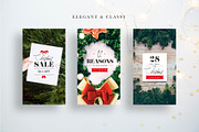 Classy Xmas INSTAGRAM STORY Pack, a Social Media Template by Marie T (Thumbnail 6 of 9)