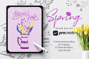 Spring brush box for Procreate