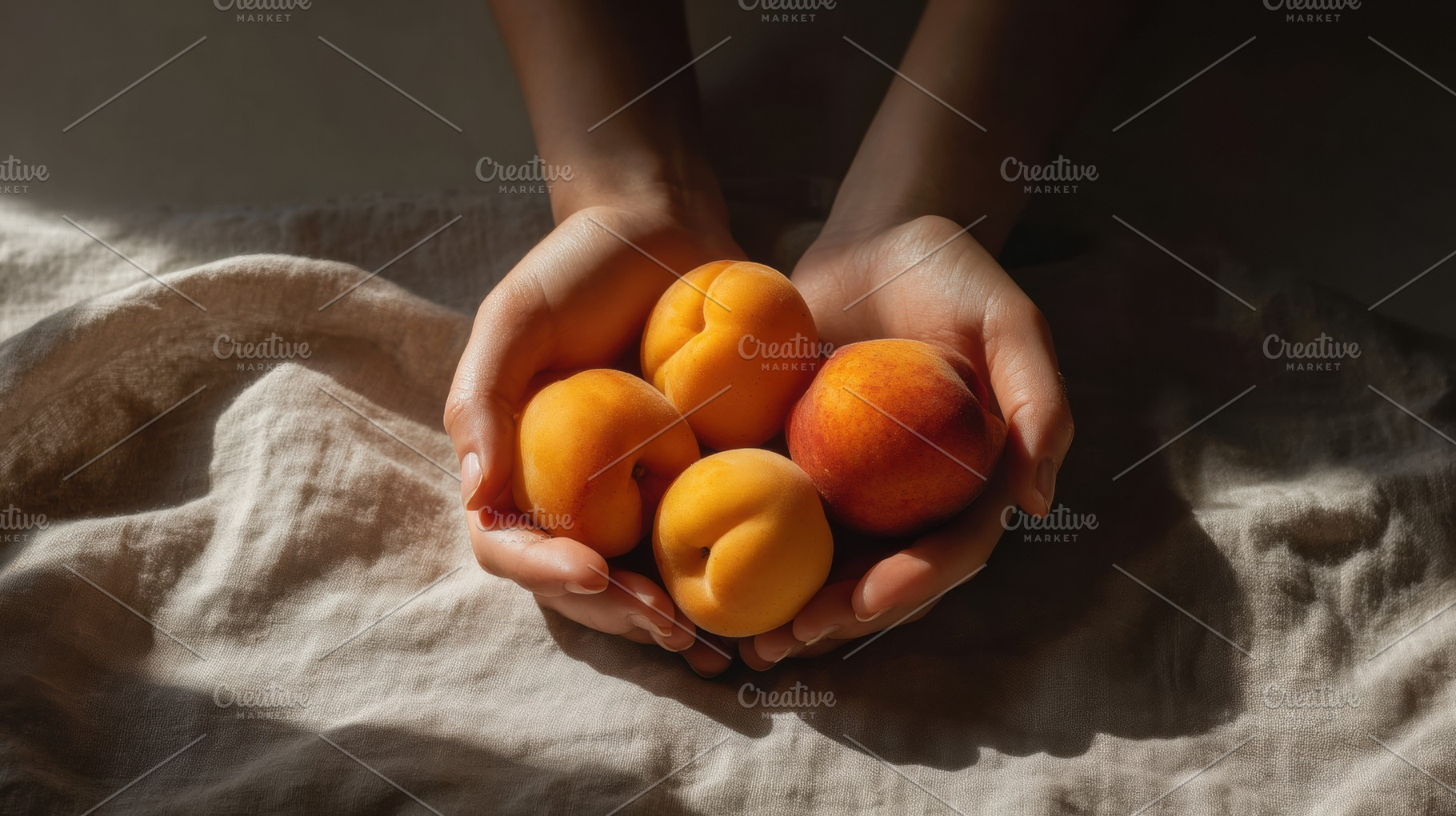 Hands Holding Fresh Apricots, a Food & Drink Photo by Virgo Studio