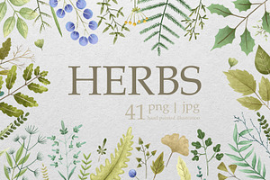 Hand-Painted Herbs & Spices: Botanic, a Decorative Illustration by the_myro