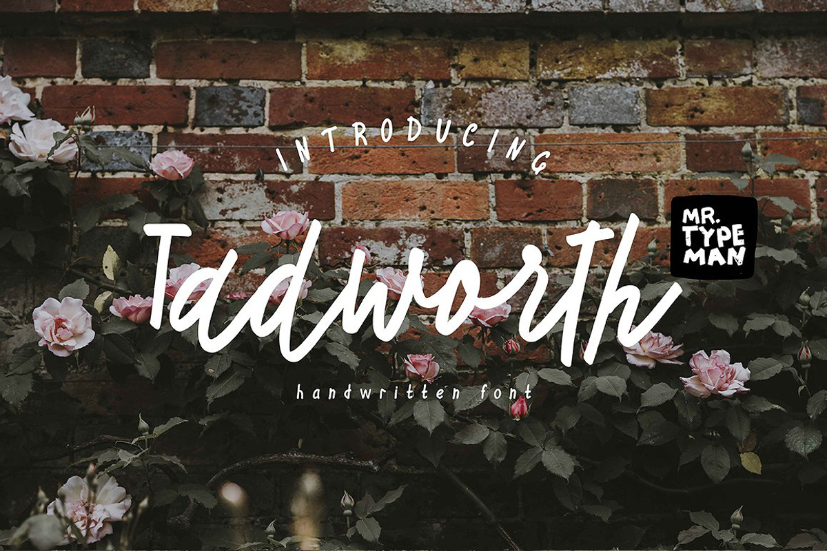 Tadworth Handwritten Script
