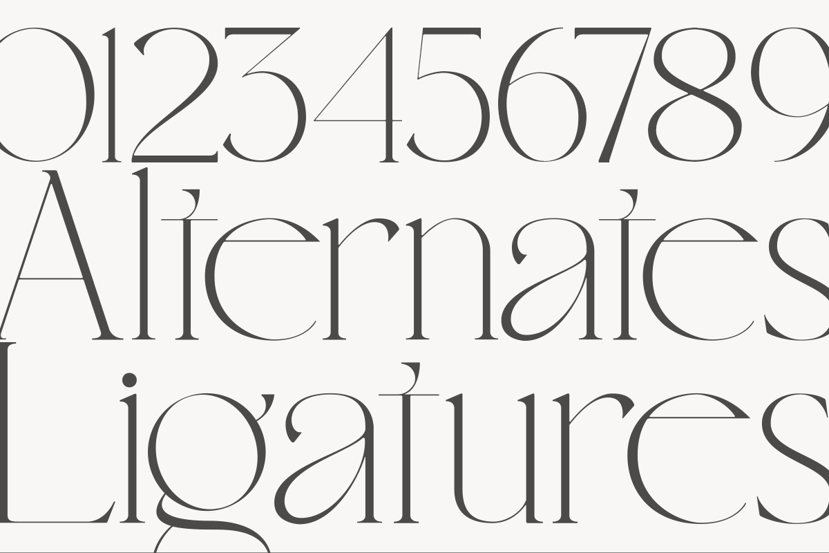 Restrain - Resort Branding Serif, a Serif Font by Sohel Studio (Photo 12 of 12)