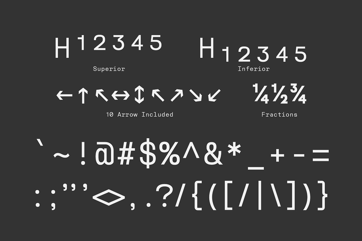 Reflow Mono Family | Intro 50% OFF, a Sans Serif Font by Lettertype Studio (Photo 10 of 15)