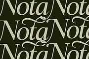 Swarsh Daisy - Elegant Serif Display, a Serif Font by Marvadesign (Thumbnail 8 of 8)