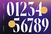 Bidqse Modern Display Serif, a Serif Font by timelesstype.co (Thumbnail 17 of 20)