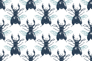 Insects And Seamless Patterns