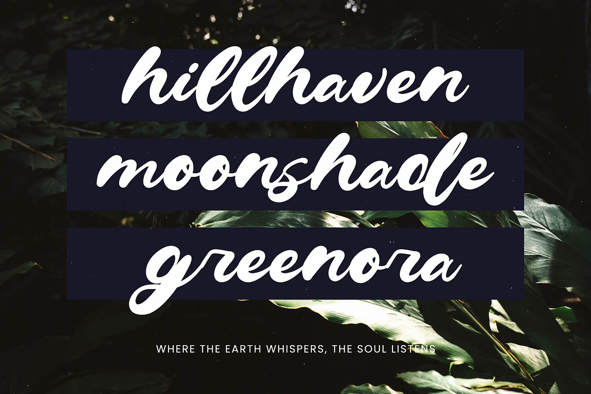 Drink South Bold Calligraphy Font, a Script Font by Letterena Studios Script (Photo 14 of 20)