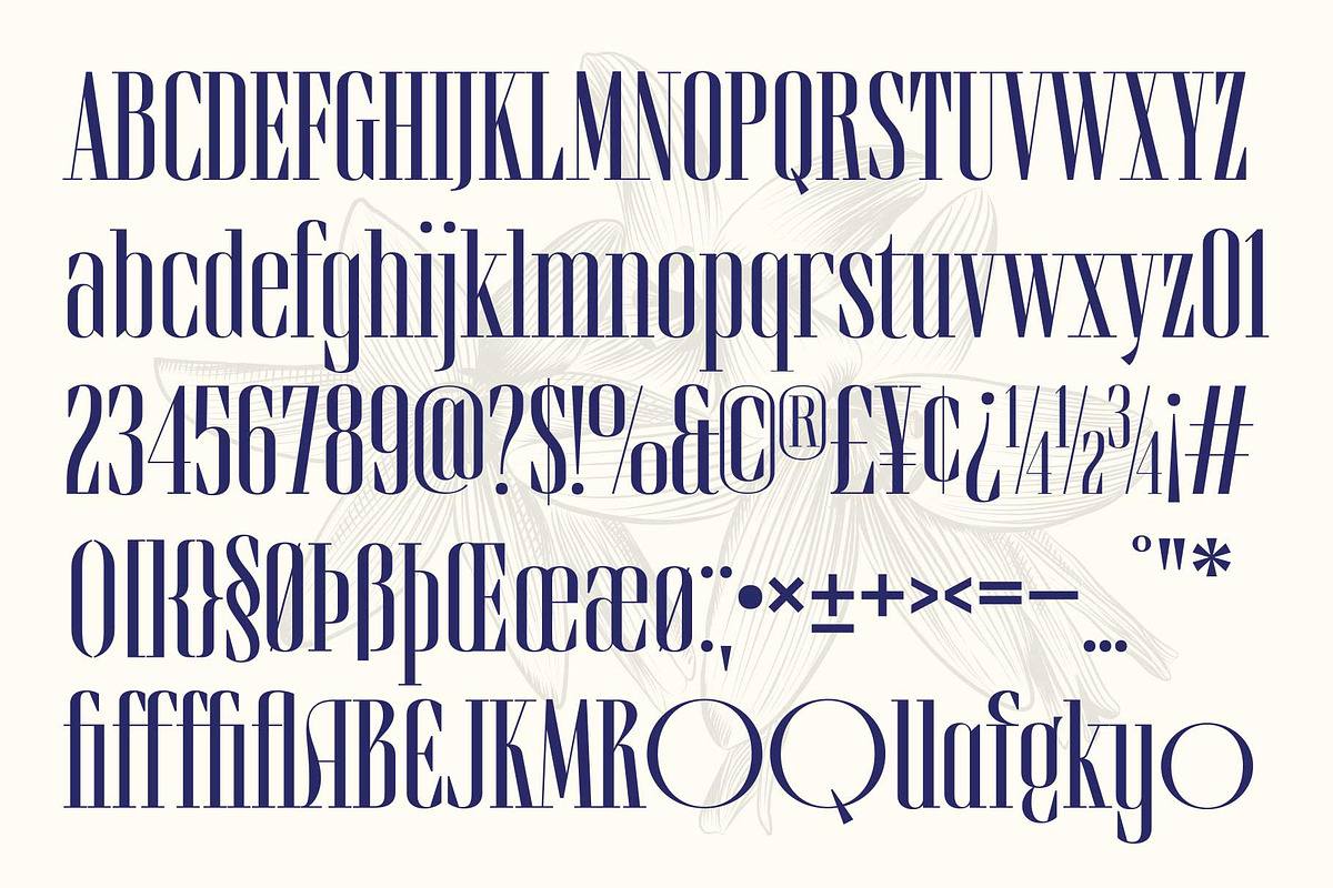 Brozeri - Casual Serif Family, a Serif Font by Arterfak Project (Photo 13 of 14)