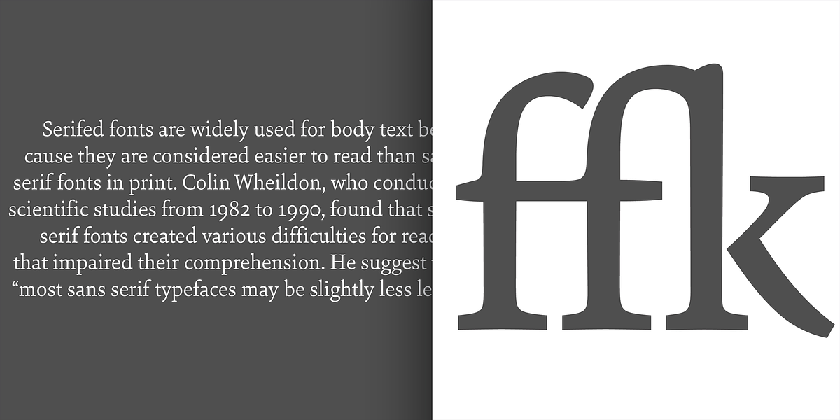 Sina Nova, a Serif Font by Hoftype (Photo 13 of 15)