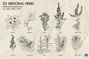Medicinal Herbs part 2 + Procreate, a Healthcare Illustration by Skliarova (Thumbnail 2 of 6)
