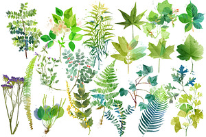 Watercolor Summer Plants