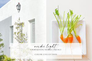LR Mobile Preset | Nordic Light