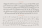 Victoria Montera Monoline Signature, a Script Font by stylishtype.co (Thumbnail 19 of 20)