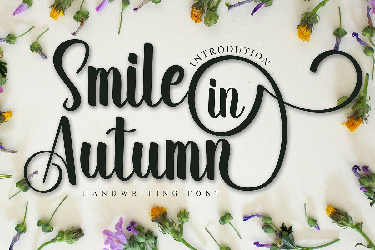 Smile in Autumn, a Handwritten Font by Creative Writting (Photo 1 of 5)