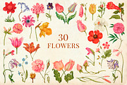80 Vintage Nature Illustrations, an Object Graphic by The Object Atlas (Thumbnail 5 of 11)
