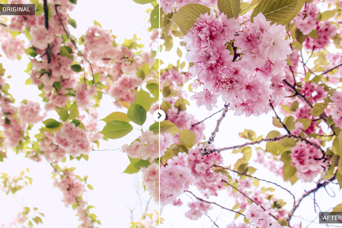 50 Spring Lightroom Presets preview 4