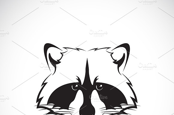 Vector Image Of A Raccoon Face