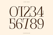 CS Cruze – Editorial Serif Font, a Serif Font by Craft Supply Co. (Thumbnail 5 of 8)