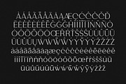Gritlen, a Serif Font by OWL KING (Thumbnail 7 of 8)