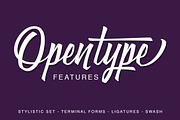 Brushing, a Script Font by Secondivison Supply (Thumbnail 3 of 8)