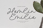 Hamlin Emilia Font, a Script Font by Timurtype (Thumbnail 1 of 7)