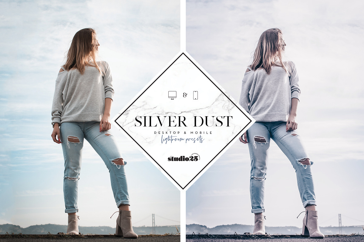 2 Silver lightroom presets, a Plug-in Add-On by studio25 (Photo 3 of 7)