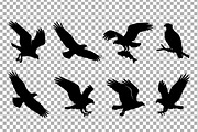 Eagle Hawk Silhouette Vector Dynamic, an Object Graphic by Artonix (Thumbnail 3 of 3)