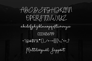 Timber Lake, a Script Font by RT Studio (Thumbnail 7 of 8)