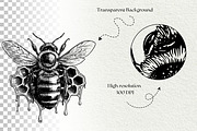 Honeycomb Bee SVG Graphics, a Decorative Illustration by DENIDigitalArtSudio (Thumbnail 6 of 6)