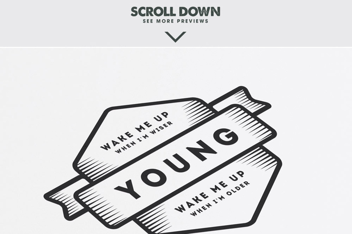 MASSIVE BUNDLE 576 Vintage Logos, a Branding & Logo Template by Design District (Photo 3 of 14)
