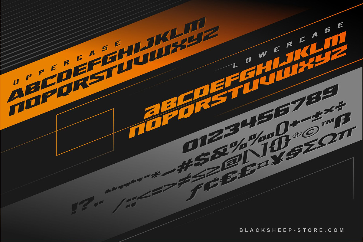 STRIP for DRIVE, a Serif Font by Blacksheep studio (Photo 4 of 4)