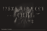 Peskia - Variable Font Family, a Serif Font by Valentino Vergan (Thumbnail 13 of 15)