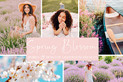 5 SPRING BLOSSOM LIGHTROOM PRESETS, an Action Add-On by Emma Kate Creative (Thumbnail 1 of 10)