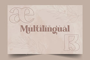 Abraghen - Ligature Serif Font, a Serif Font by Almeera Std (Thumbnail 9 of 12)
