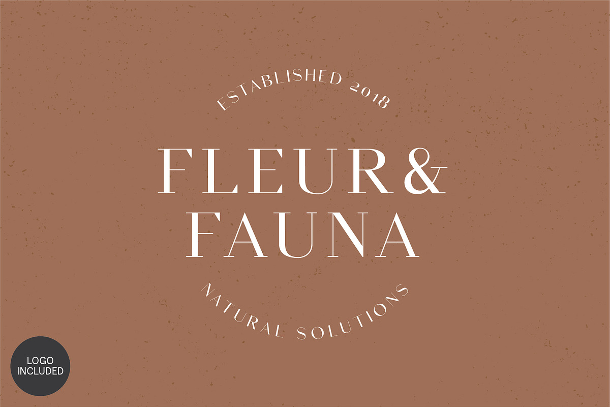 Equinox Stylish Font duo & logo set, a Slab Serif Font by Studio Aurora (Photo 13 of 13)