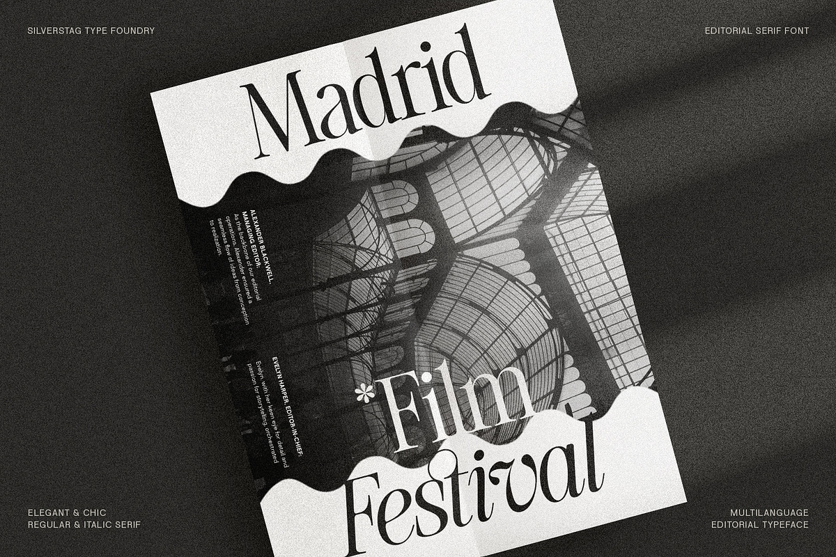 The Silver Editorial Serif Font, a Serif Font by SilverStag Type Foundry (Photo 24 of 25)