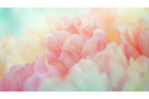 Soft pastel pink flowers in dreamy, an Abstract Photo by Lermont51