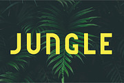 Dakar, a Sans Serif Font by Lhotse (Thumbnail 2 of 9)