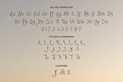Arabian Fairs - Fauxlang Arabic Font, a Font by Bale Type (Thumbnail 12 of 12)