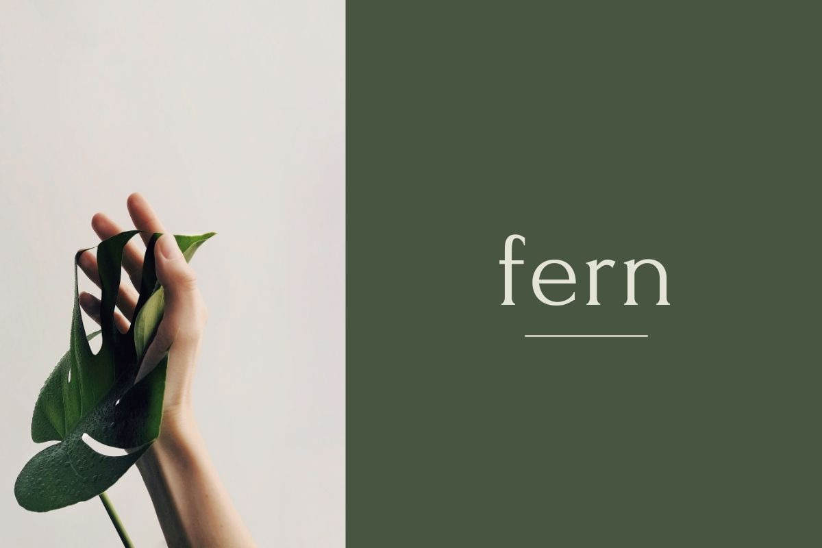 Wellness Natural Holistic Logo, a Branding & Logo Template by CreativeWilderness (Photo 12 of 15)