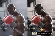 500+ Lightroom Presets & LUTs Bundle, a Preset Add-On by SparkleStock (Thumbnail 3 of 10)