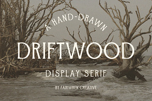 Driftwood