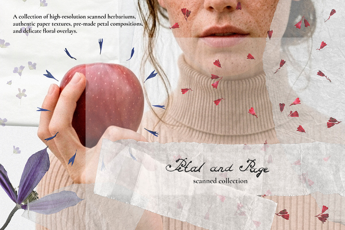 Petal & Page - Paper and Fowers, an Object Graphic by Watercolor_Ma (Photo 1 of 7)