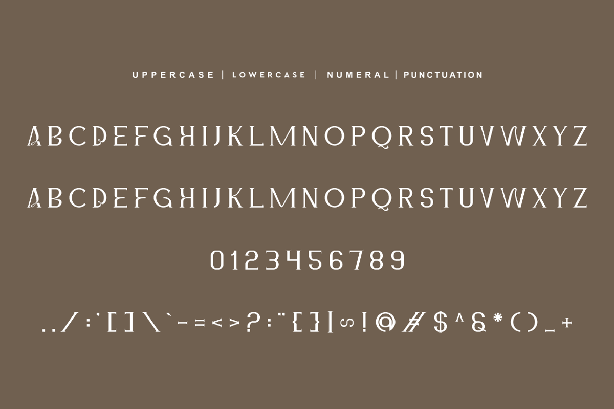Qaveind - Elegant Serif Font, a Serif Font by QR Design Studio (Photo 5 of 6)