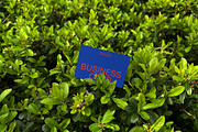 Green Leaf Business Card Mockup, a Mockup by Quirko (Thumbnail 3 of 7)
