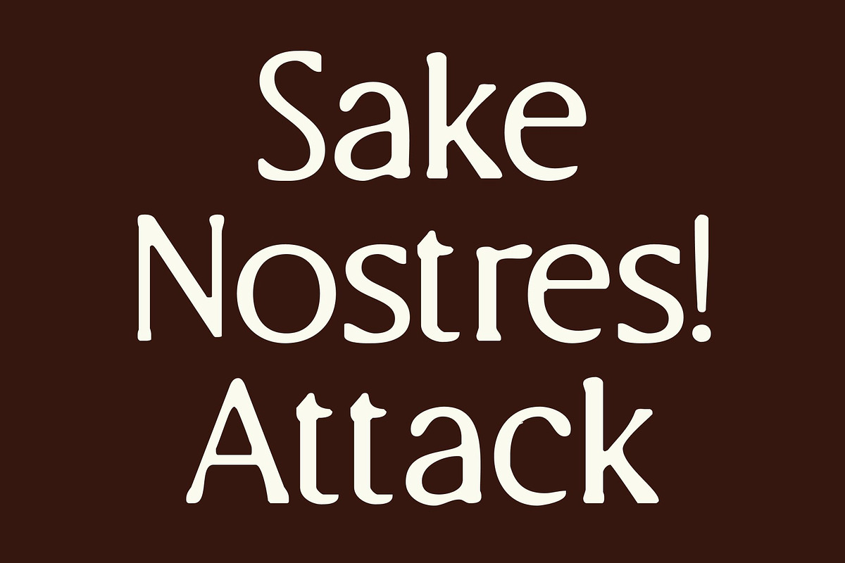 CS Briseis Drawn, a Serif Font by Craft Supply Co. (Photo 2 of 8)