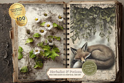 Herbalist Junk Journal Kit, a Seasonal Illustration by Nicole Branger Art (Thumbnail 2 of 14)