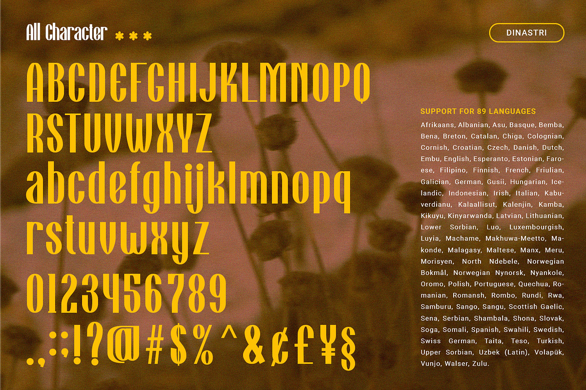 DINASTRI - Condensed Sans Serif, a Sans Serif Font by Mantra Naga (Photo 8 of 10)